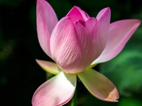 2 kiểu hàng xóm chớ giao du, 3 kiểu họ hàng chớ gần gũi