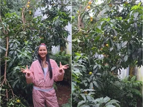 Nhà "Hoa hậu nghèo nhất Việt Nam" ở quê có loài cây nghe tên rất sang trọng, mẹ cô ăn hết mấy chục trái