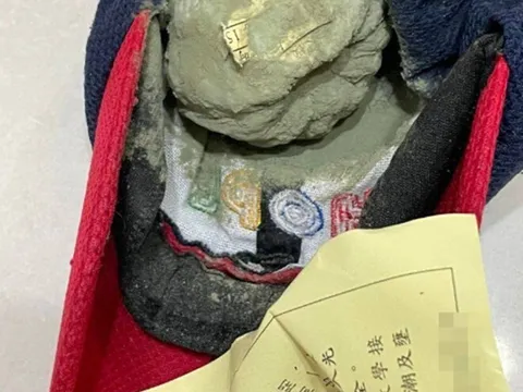 Con luôn khen cơm trưa ở trường ngon lắm, mẹ lục cặp sách thấy vật lạ bốc mùi mốc xanh