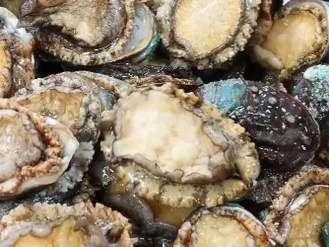 Bữa ăn trưa tại một trường mẫu giáo “gây sốt” MXH, chỉ 70 nghìn nhưng toàn bào ngư, tôm hùm, hải sâm