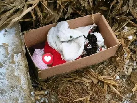 Vừa nhìn thấy đứa con mới sinh, bố mẹ lập tức từ chối, 22 năm sau cả nhà hối hận