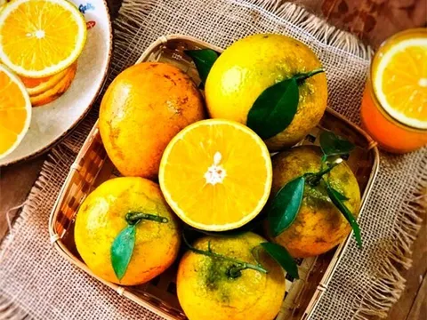 Loại quả "tốt nhất thế giới" được trồng bạt ngàn ở Việt Nam, thành đặc sản chỉ từ 8.000 đồng/kg, tốt cho sức khỏe