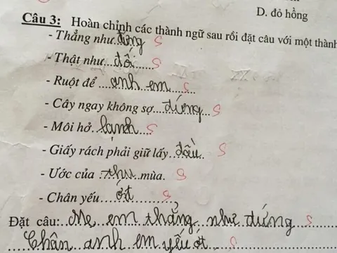 Bé học sinh đặt câu thành ngữ nhắc đến mẹ và anh trai, cô giáo phê một chữ đỏ bài khiến CĐM “bó tay”