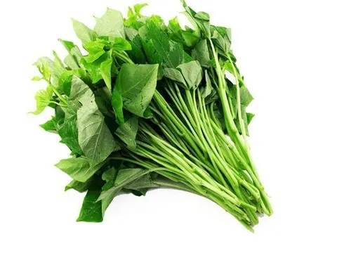 Loại rau giá rẻ và luôn có sẵn, bổ chẳng kém nhân sâm, giúp trường thọ nhưng người Việt ít ăn, chê nhạt vị