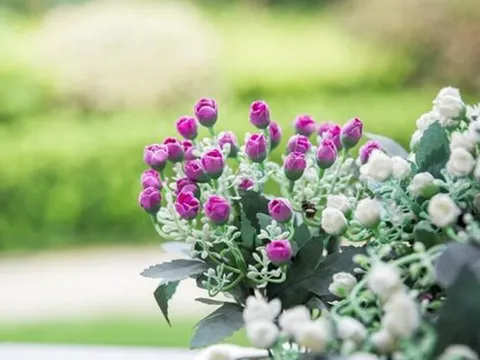 Người thực sự khôn ngoan không bao giờ khoe khoang 2 điều, kẻ nông cạn lại thường rêu rao khắp nơi