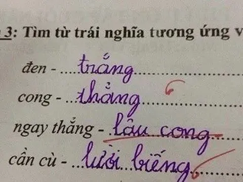 Bài tập tiếng Việt tìm từ trái nghĩa với "ngay thẳng", bé học sinh viết ra một đáp án khiến giáo viên hoang mang
