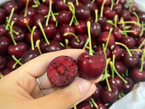 Loại quả "tốt nhất thế giới" Việt Nam trồng thành công, là đặc sản nổi tiếng được ưa chuộng, tốt cho sức khỏe