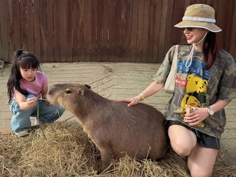 Diệp Lâm Anh sum vầy cùng hai con đầu năm 2026, người đi đường kể cảnh cô một nách hai con đầy vất vả