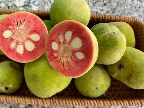 Loại quả dại xanh hay chín đều ăn được, xưa rụng đầy sân giờ thành đặc sản được ưa chuộng, tốt cho sức khoẻ