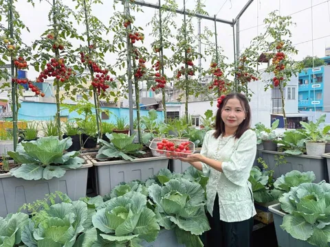 Mẹ đảm TP.HCM chi 30 triệu làm vườn, 4 giờ sáng mỗi ngày lên sân thượng chăm rau