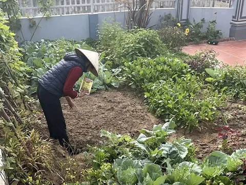 Mẹ bỉm ở quê khiến CĐM bái phục: Nhà 5 người chi phí 7 triệu, cuối tháng còn dư mua 1,2 chỉ vàng