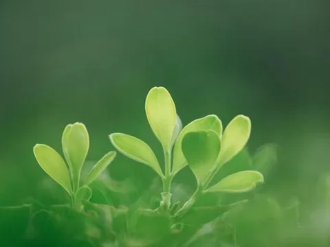 Người thực sự thông minh không đăng 4 thứ này lên mạng xã hội