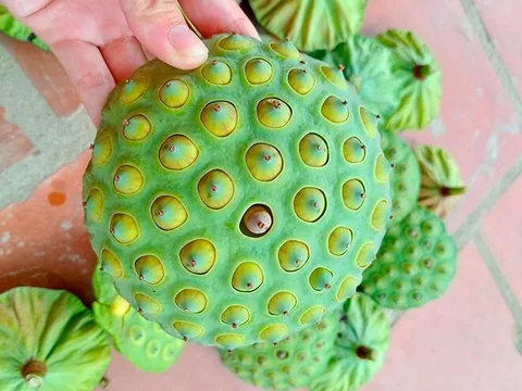 Món nhà nghèo xưa ăn đến chán ngán, nay thành đặc sản được ưa chuộng vì hương vị lạ, tốt cho sức khoẻ