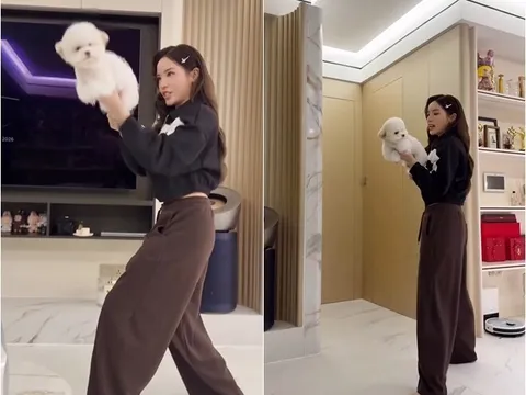 Cận cảnh cơ ngơi mới của Hoa hậu Kỳ Duyên: Có loạt "bảo bối" cực kỳ đắt giá, ban công đầy hoa