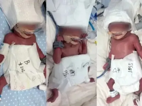 Vợ 24 tuổi mang thai tự nhiên, sinh một lần 5 em bé, câu nói của chồng gây xúc động