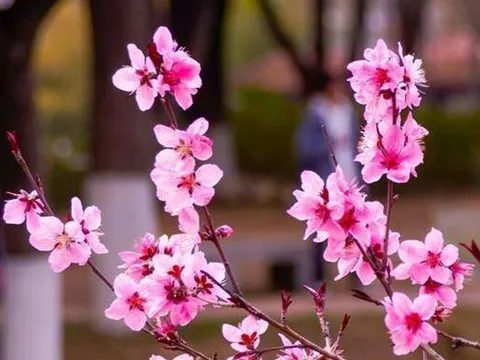 Đời người, điều gì là đắt giá nhất?