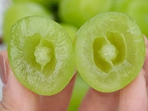 Loại quả đắt nhất thế giới, Việt Nam trồng 2 năm cho thu hoạch, thành đặc sản nổi tiếng tốt cho sức khoẻ