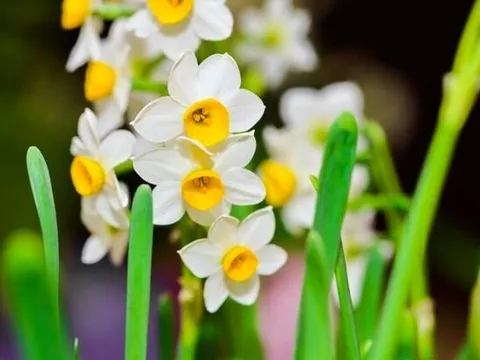 Người khiêm tốn trong 3 điều này thường không đơn giản, rất khôn ngoan và bản lĩnh