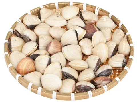 Mua ngao về nhiều cát, ngư dân kinh nghiệm 10 năm mách cho ngao uống thứ này 5 phút là nhả sạch, tha hồ nấu ăn