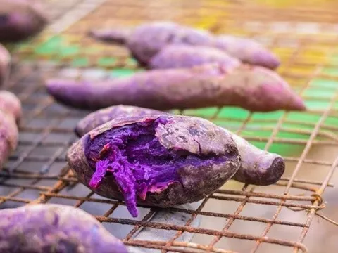 Món nhà nghèo xưa ăn đến chán ngán, nay thành đặc sản nổi tiếng ở thành phố vì hương vị lạ, tốt cho sức khoẻ