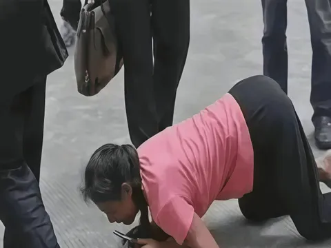 “Nó là em ruột của con mà!” - Người mẹ ngoài 60 tuổi quỳ xin con gái, câu đáp trả của cô gây tranh cãi