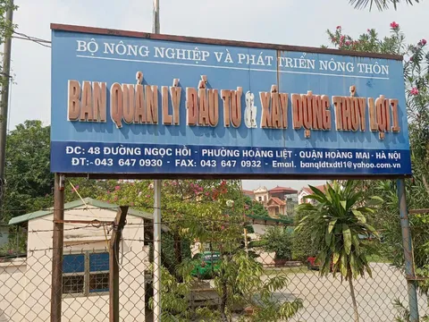 Ban QLĐT&XD Thủy lợi 1 (Bộ NN&PTNT): Nhiều gói thầu hàng trăm tỷ đồng, tỉ lệ tiết kiệm "siêu thấp"