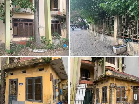 Chùm ảnh: Phố Tô Hiệu, Hà Đông, Hà Nội chỉ hơn 100m nhưng "gánh gồng" nhiều trụ sở công bỏ hoang