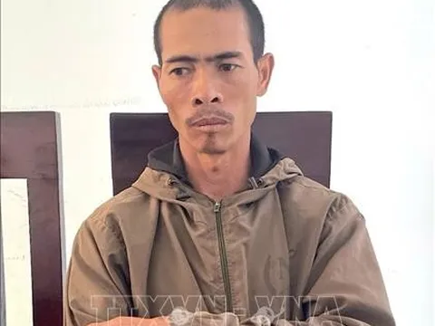 Anh rể cưa hạ vườn cà phê, hồ tiêu của em vợ: Mâu thuẫn tình cảm và tiền bạc