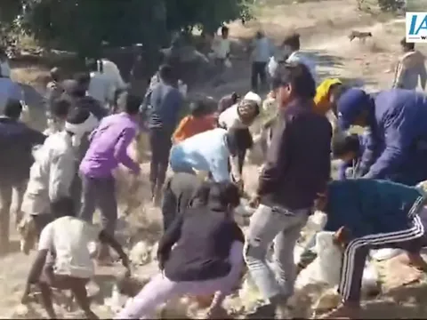 Clip: Cảnh tượng hỗn loạn đám đông hôi gà trên cao tốc khiến nhiều người ngán ngẩm