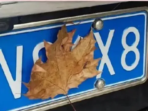 Nữ tài xế bị phạt nguội, trừ hết 12 điểm GPLX chỉ vì... 1 chiếc lá