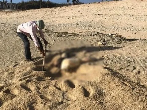 Phát hiện phần thi thể ở Ninh Thuận nghi vấn liên quan án mạng phân xác phi tang