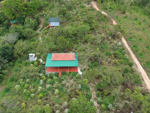 Vụ tu thành tiên lừa đảo gần 100 tỷ đồng: Trách nhiệm của chính quyền địa phương thế nào?