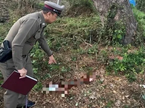 Người mẹ đẻ đau đớn tiết lộ đường trốn chạy của con trai sau khi anh ta đâm em vợ cũ 18 nhát vì tưởng là vợ