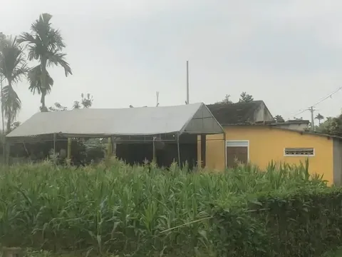 Bàng hoàng phát hiện con gái đang học lớp 7 chết trong tư thế treo cổ tại vườn nhà: Hé lộ hoàn cảnh gia đình