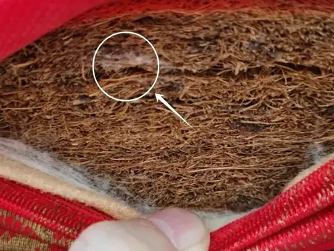 4 thứ quen thuộc trong nhà là "bạn" của ung thư, cần vất ngay kẻo hối không kịp