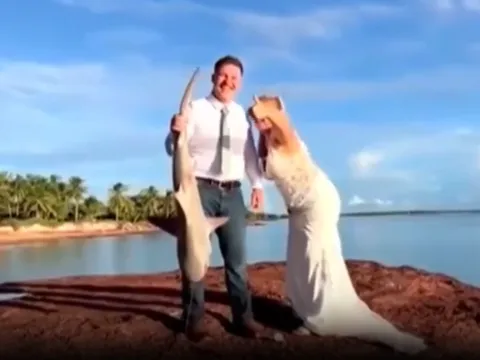 Clip: Cô dâu đi chụp ảnh cưới "tiện tay" câu được cá mập