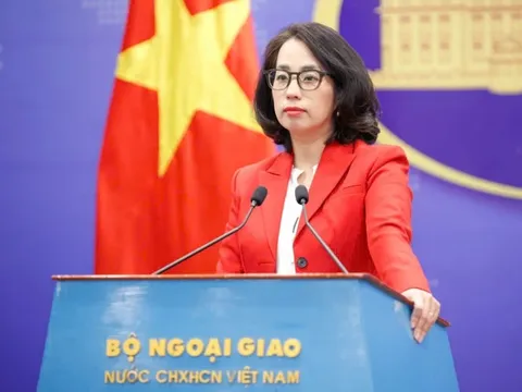 Bộ Ngoại giao lên tiếng về việc Mỹ áp thuế hơn 800% một mặt hàng nhập khẩu từ Việt Nam