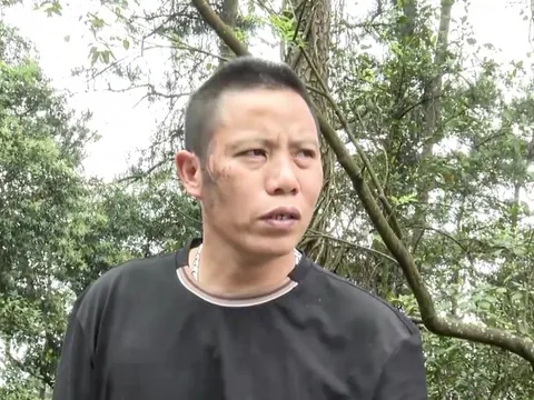 Khởi tố, tạm giam tài xế vụ lật xe khách làm 4 người tử vong ở Tam Đảo