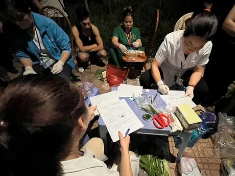 3 tạ rau quả nhiễm hóa chất độc hại "góp mặt" tại chợ đêm Sơn La