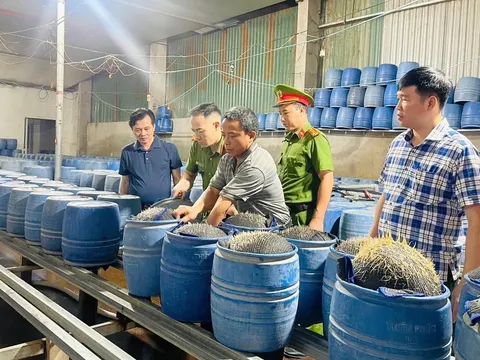 Sự thật bàng hoàng bên trong "thủ phủ" 350 tấn giá đỗ ủ hóa chất có hại cho sức khỏe "vi vu" khắp chợ dân sinh ở Lào Cai