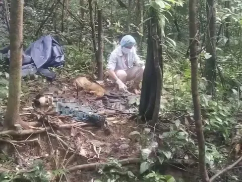 Nghi vấn về bộ xương người trong rừng sâu ở Quảng Ngãi