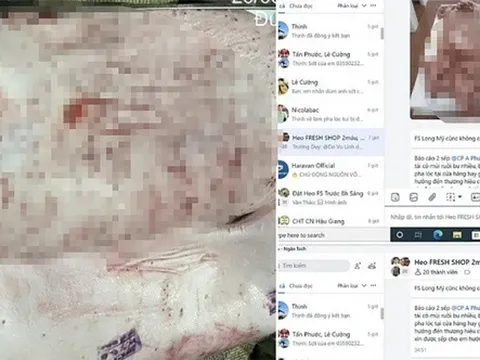 Người tố công ty C.P Việt Nam đã cung cấp những gì cho công an?