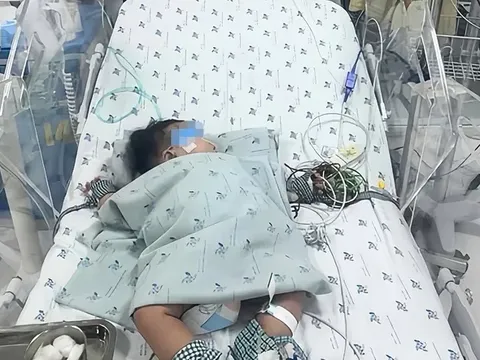 Cảnh báo khẩn: Nhiều ca sốc sốt xuất huyết, nguy kịch