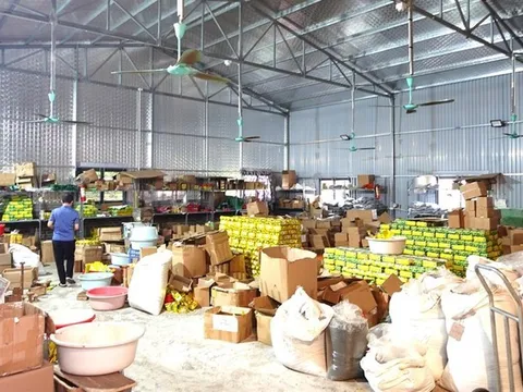 Thủ đoạn dán nhãn thương hiệu "Chè Thái Nguyên" thu lợi hàng chục tỉ đồng của cơ sở sản xuất ở Ninh Bình