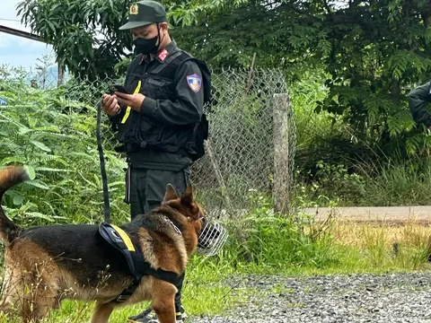 Bí mật giật mình trong vườn nhà của cặp tình nhân bị chó nghiệp vụ vạch trần