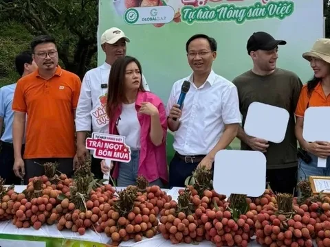 Phó chủ tịch UBND tỉnh Bắc Ninh livestream “chốt đơn” thành công hơn 54 tấn vải thiều Lục Ngạn