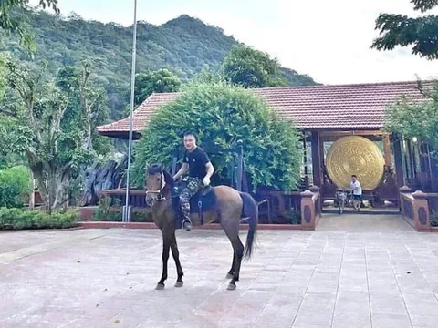 Ông trùm Vi "ngộ" xứ Thanh có thú chơi dị thường thế nào mà bao người ái ngại?