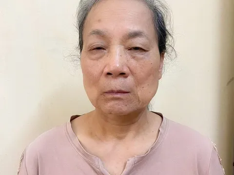 Người livestream chửi bới tại tòa án ở Tuyên Quang bị khởi tố: Là phụ nữ, 64 tuổi