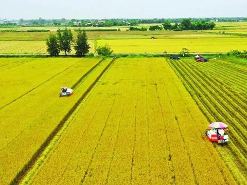 Nghị quyết 216/2025/QH15 kéo dài thời hạn miễn thuế sử dụng đất nông nghiệp