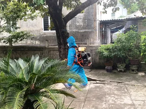 Gần 2 tuần, TP Huế ghi nhận có 12 ca mắc liên cầu lợn: Những điểm lạ quanh khu vực sinh sống của bệnh nhân